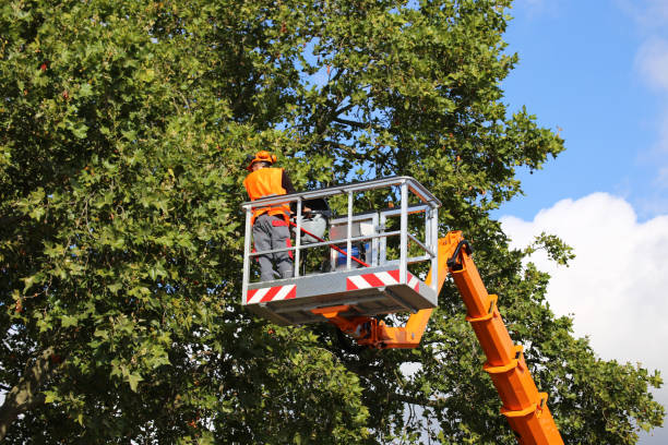 Leaf Removal in Wurtsboro, NY